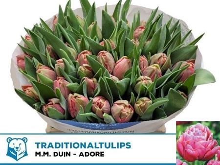 Тюльпан-Tulip-Du Adore-34cm-44gr 511b5633-148d-11f1-0a80-1761003f6a23