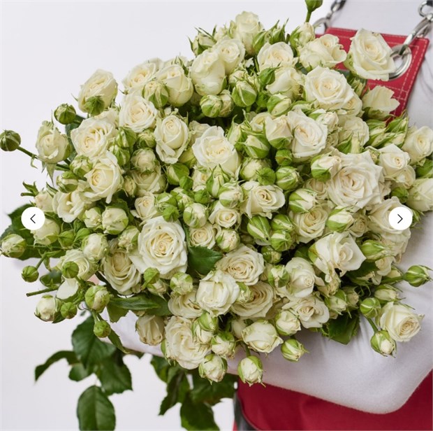 Роза куст. Жозефина 60см (Россия) 65837582-20f0-11f1-0a80-130c002726b1
