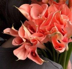 Калла-Calla-Lilies Salmon-CE 69ff260a-43e5-11f1-0a80-0d64002e3152