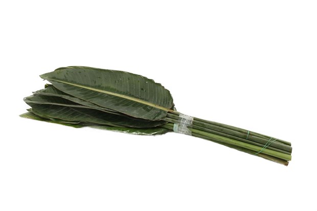 Лист стрелиции-Strelitziablad 100cm-GW 849c22bf-3711-11f1-0a80-0f75002b7b6a