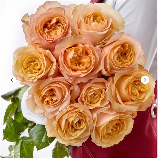 Роза Эмбер Сан 60см (Россия) a8a3284a-20f1-11f1-0a80-140f0028a079