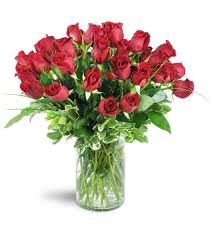 Роза-Rosa-Unstoppable-60cm-BA e958f377-1ca3-11f1-0a80-116f00ee1211