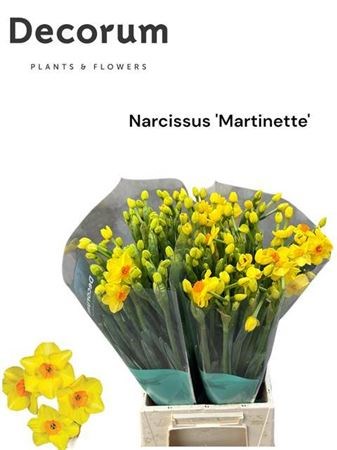 Нарцис-Narcissus-Ta Martinette-45cm-35gr e95a60fa-1a4d-11f1-0a80-116f005d7129