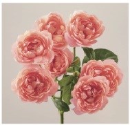 РОЗЫ Новая Джульетта 60 см - Россия ee771906-16d5-11f1-0a80-095500074678