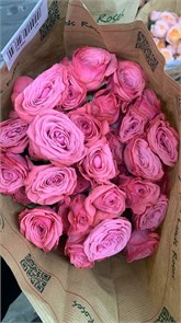 Роза куст-Rosa sp-Spasibo Bolchoi-50cm-RS ad2cd24f-f6e0-11ef-0a80-171f001564fd