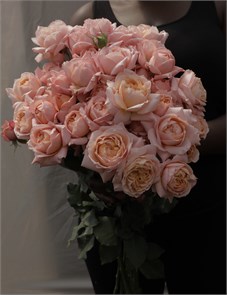 Роза куст-Rosa sp-Julietta Spray-53cm-Ti b3dda94c-bfa6-11ec-0a80-0b4c0008fd2b