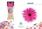 Гербера-Gerbera-Ms Gerspider Bouquet Diamond X80-50cm 45b22e21-4f75-11f1-0a80-0be80024155d