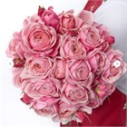 Роза куст. Сильва Пинк 50см (Россия) 4de1dabf-20f1-11f1-0a80-130c002738b2