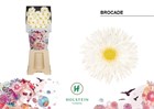 Гербера-Gerbera-Ms Gerspider Brocade Diamond X80-50cm 50ac10e5-148d-11f1-0a80-1761003f69f3