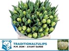 Тюльпан-Tulip-Du Avant Garde_white-36cm-30gr 51091a4b-148d-11f1-0a80-1761003f6a20