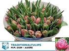 Тюльпан-Tulip-Du Adore-34cm-44gr 511b5633-148d-11f1-0a80-1761003f6a23