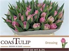 Тюльпан-Tulip-Du Dressing-32cm-34gr 5146169c-148d-11f1-0a80-1761003f6a4f
