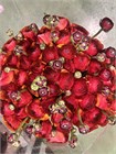 Ранункулус-Ranunculus-Cloni Brownie-CE 57a8fda1-2388-11f1-0a80-054200038373