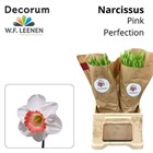 Нарцис-Narcissus-Pink Perfection-45cm-25gr 625b9af2-2763-11f1-0a80-11a100040b85