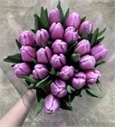 Тюльпан лавандовый (Краснодар) 6ca07f27-3c0c-11f1-0a80-1a1b0023df42