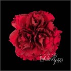Гвоздика SE-Dianthus SE-Zurigo-FC 6cea61db-2f34-11f1-0a80-0e2a000b9d47