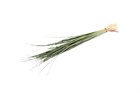 Берграс-Beargrass-/GW 7eae705b-506a-11f1-0a80-064000130b9e