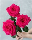 Роза-Rosa-Vi Pink-50cm-EF 836a61c7-4bc2-11f1-0a80-0dec007e9c1e
