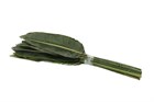Лист стрелиции-Strelitziablad 100cm-GW 849c22bf-3711-11f1-0a80-0f75002b7b6a
