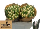 Тюльпан-Tulip-En Update-34cm/34gr 856a4248-1ae2-11f1-0a80-138a00238969