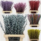 Саликс-Salix-Pussy Willow-70cm Colors-GW b257bf77-237f-11f1-0a80-1317000be8d2