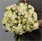 Роза кустовая Эксклюзив Сансейшн 60см (Россия) b35c9986-2365-11f1-0a80-0e030005d0c8
