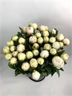 Пион-Peony-Bowl Of Cream-60cm--CE be9e5e30-3fba-11f1-0a80-0e0b0008b512