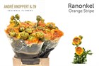 Ранункулус-Ranunculus-Aazur Orange Stripe-45cm-65gr c5f2a271-3fd9-11f1-0a80-1126001acbe1