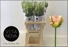 Тюльпан-Tulip-Pa Green Wave-60cm-70gr c636e0f5-3fd9-11f1-0a80-1126001acbf2