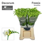 Фрезия-Freesia-Du Versailles-60cm-26gr c69a4d1c-3fd9-11f1-0a80-1126001acbfe