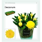 Хризантема одн-Chrysant Gr-Maracuja-75cm-90gr df233747-4ead-11f1-0a80-17ce001af3eb