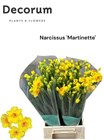 Нарцис-Narcissus-Ta Martinette-45cm-35gr e95a60fa-1a4d-11f1-0a80-116f005d7129