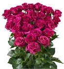 Роза куст-Rosa sp-Cheyenne-50cm-RS f9dbbd54-52e7-11f1-0a80-0b1c00012daa